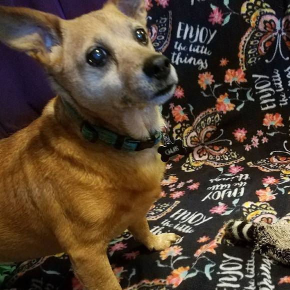 Meet your Posher, Katie - Picture 3 of 3